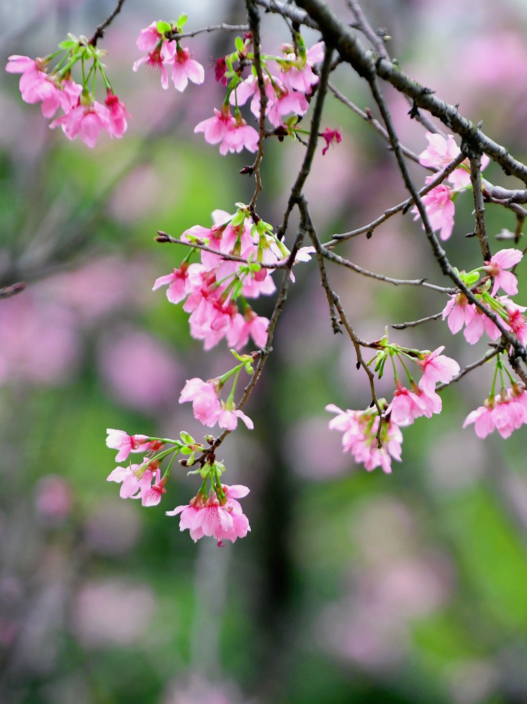 65ef1684e4b054c0cfe28c6e