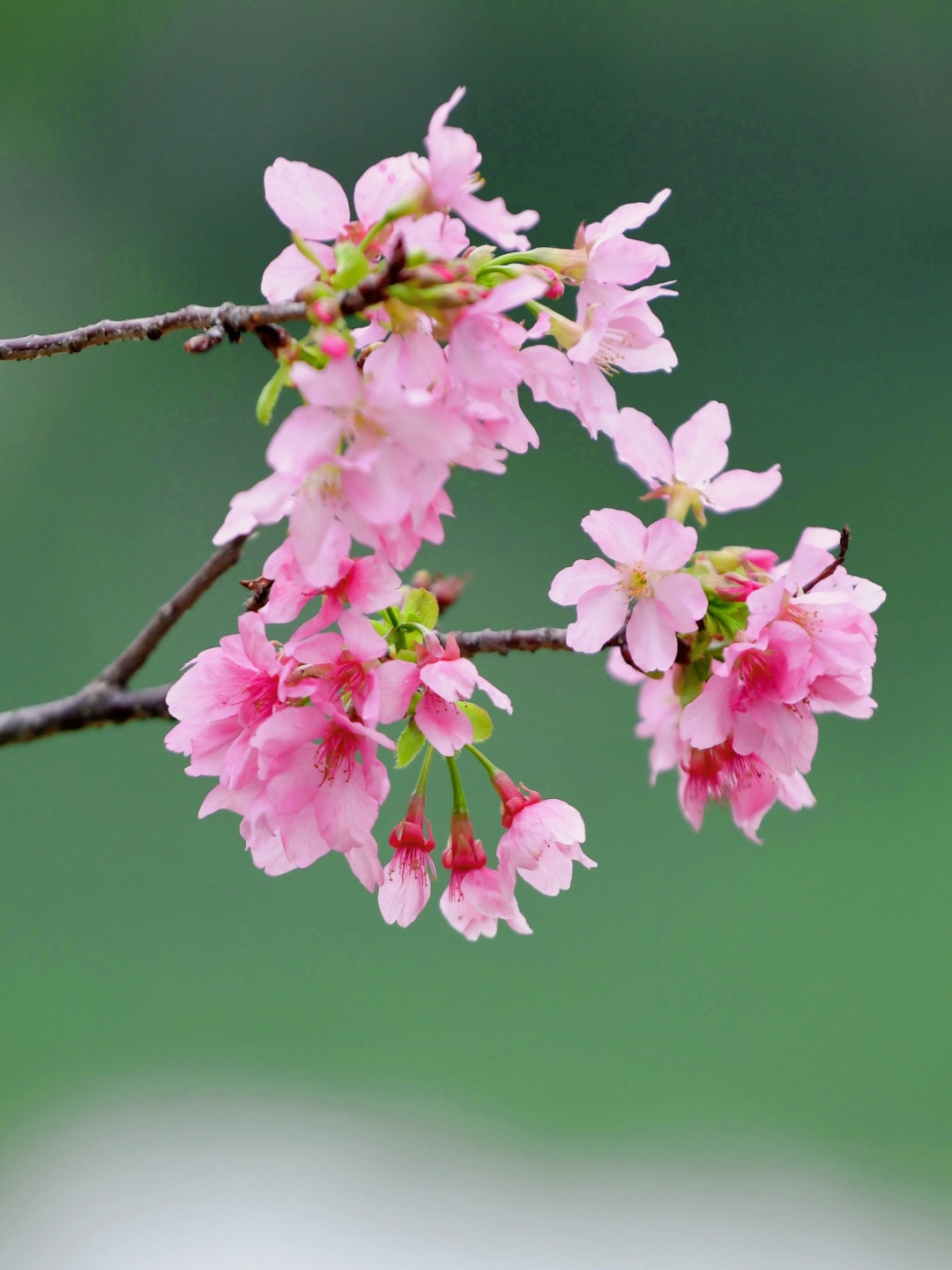 65ef1684e4b054c0cfe28c70