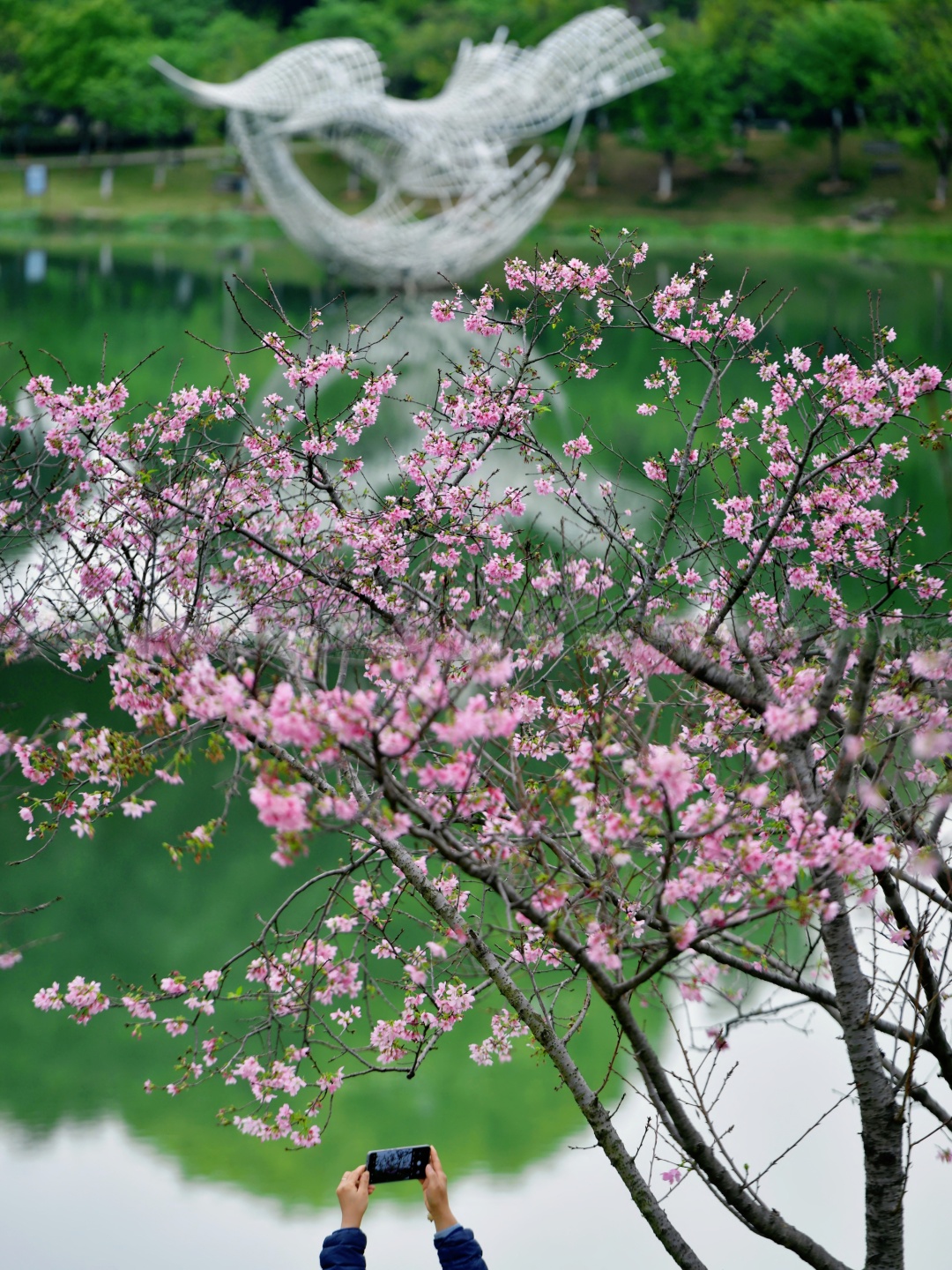 65ef1685e4b054c0cfe28c72