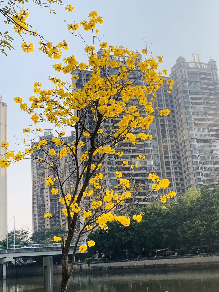 65eed0b5e4b00923d54e3341