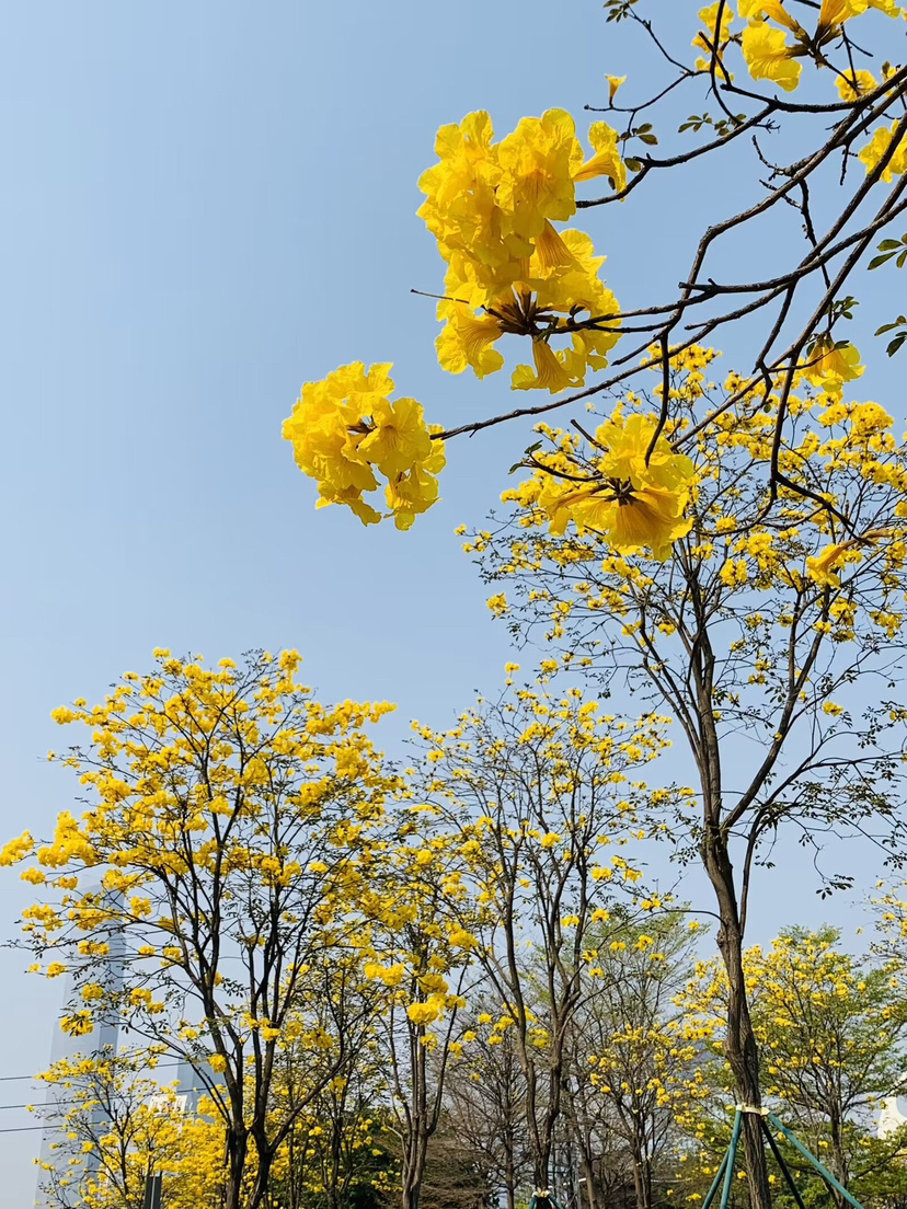 65eed0b5e4b00923d54e333f