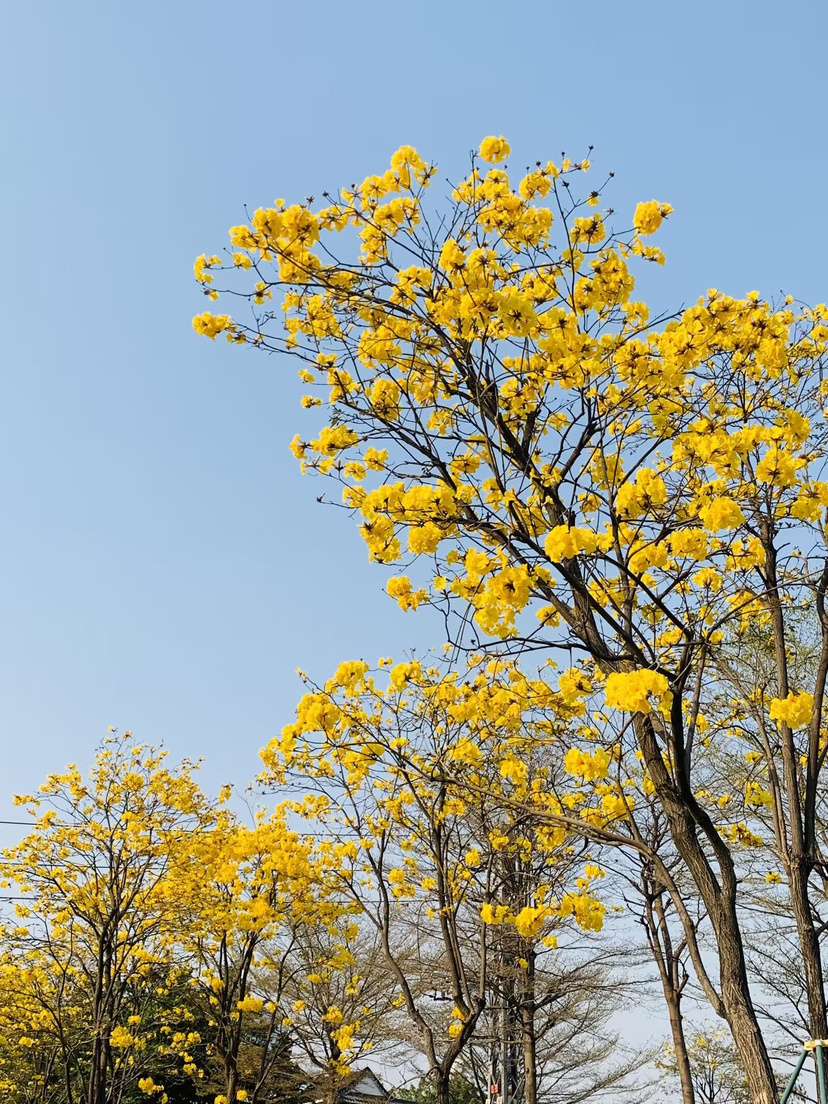 65eed0b5e4b00923d54e3343