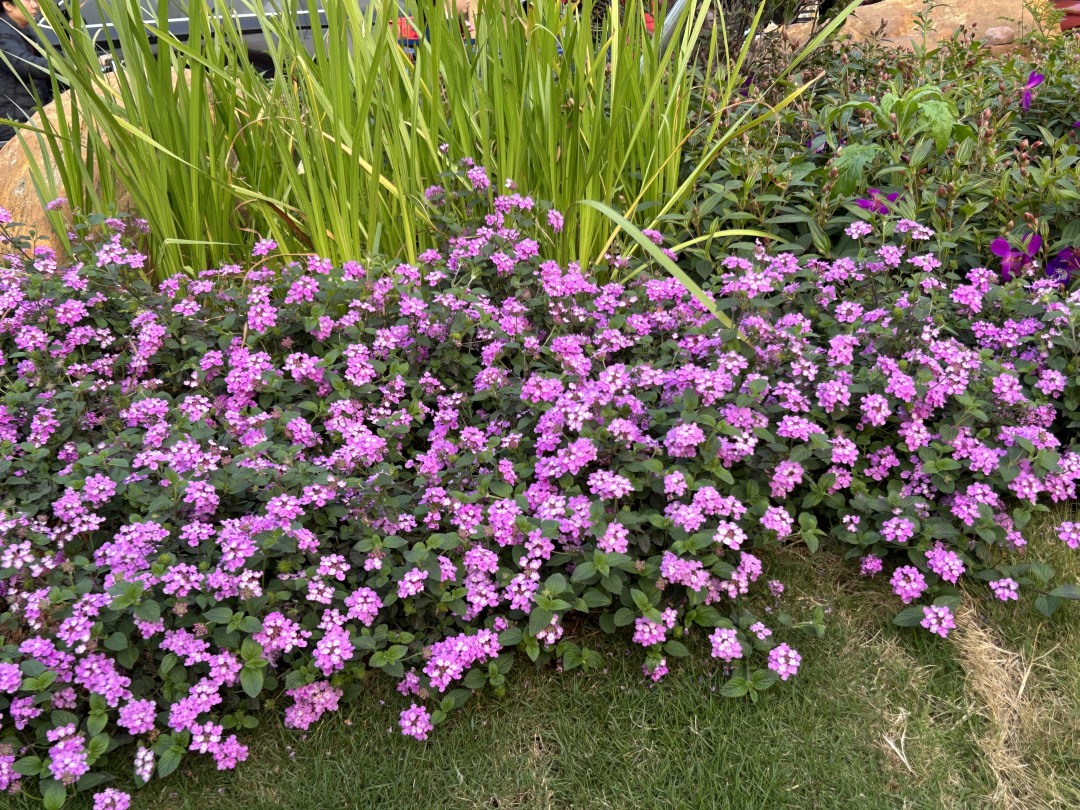 65ebcb21e4b0c66851043bce