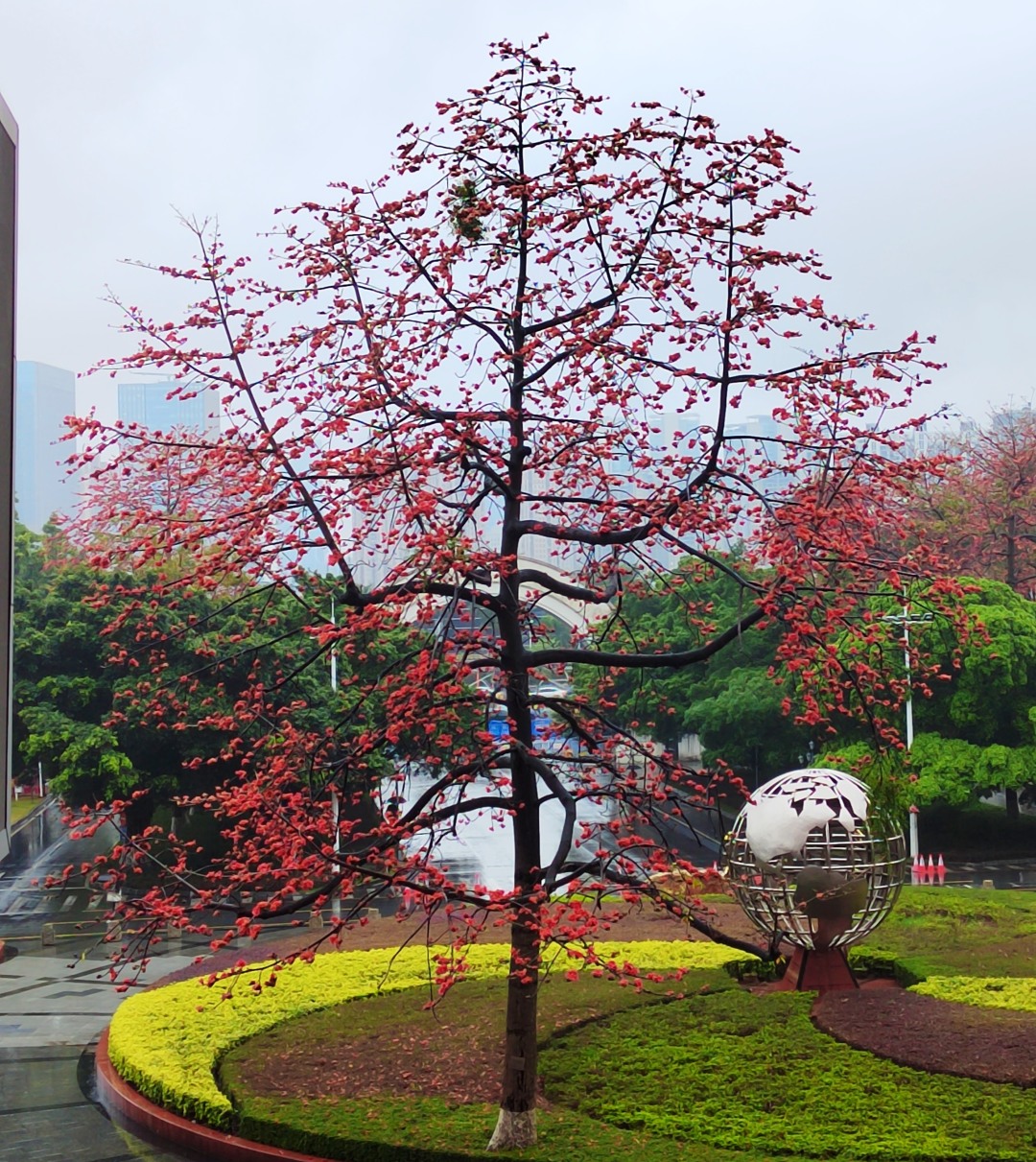 65ed5ee9e4b054c0cfe28a09