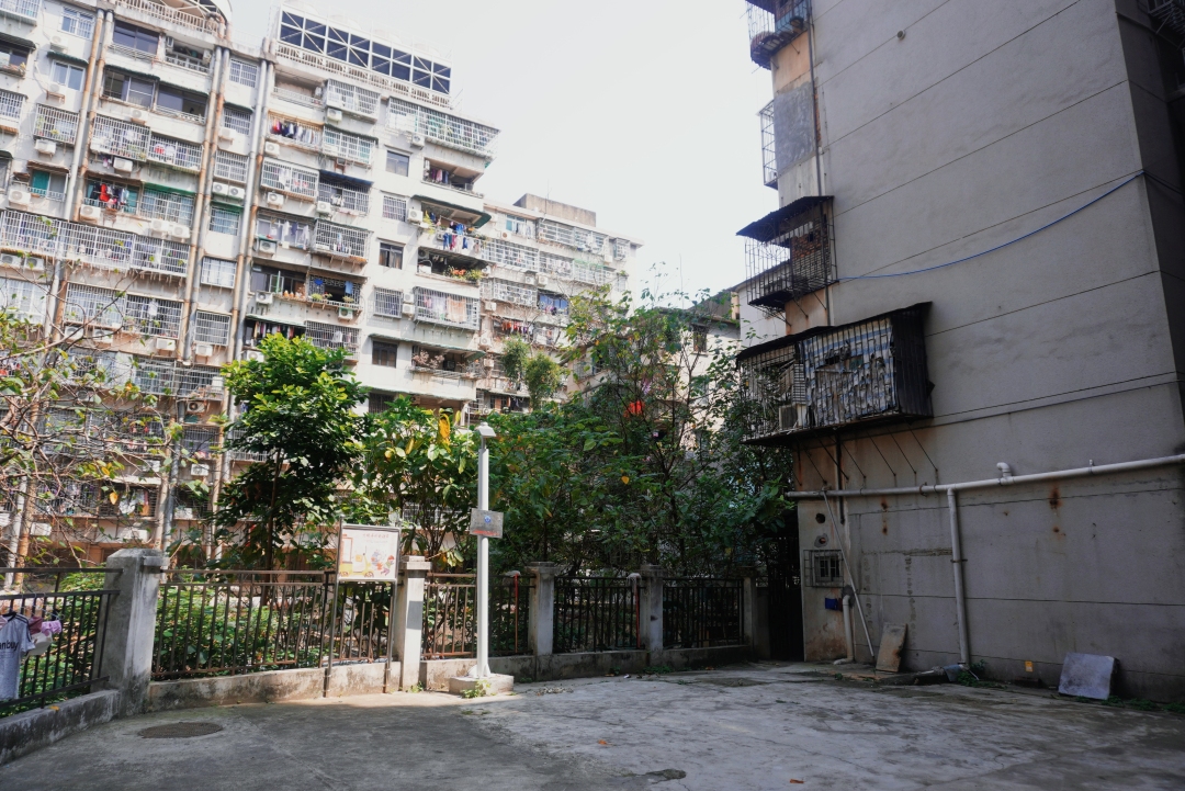 象岗山19号前平台。信息时报记者 黄丽霞摄