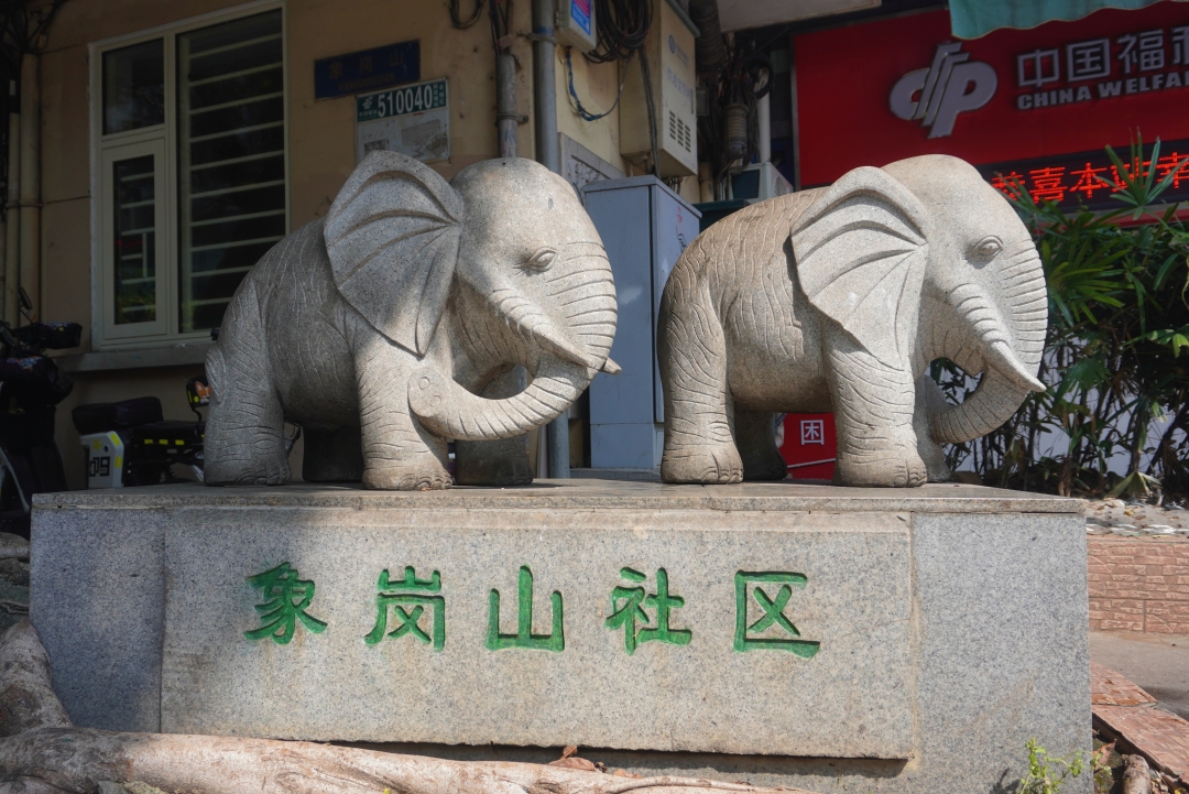 象岗山社区。信息时报记者 黄丽霞摄