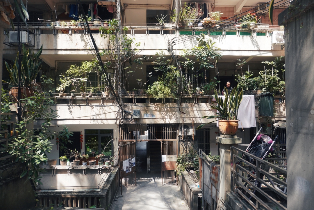 象岗山23号。信息时报记者 黄丽霞摄