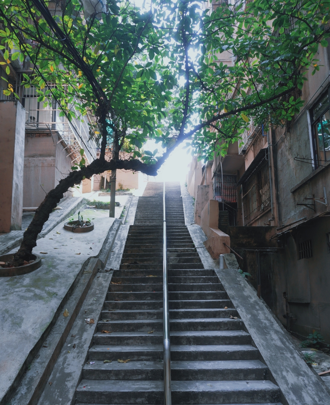 象岗山社区高低错落的楼梯,信息时报记者 黄丽霞摄