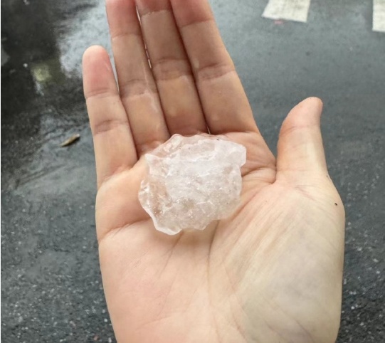 微信截图_20240331174040