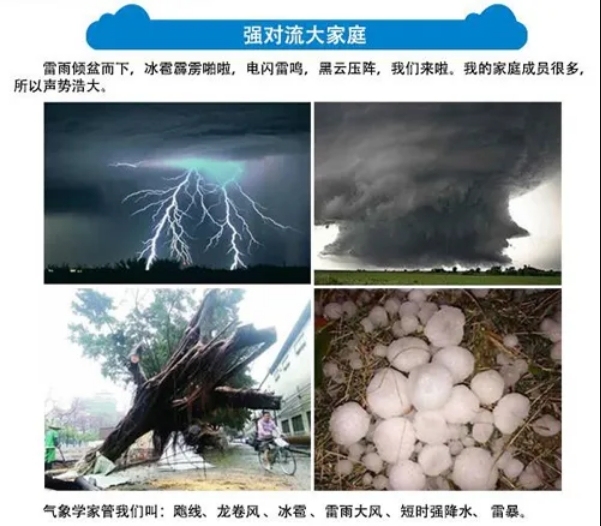 微信截图_20240403213636