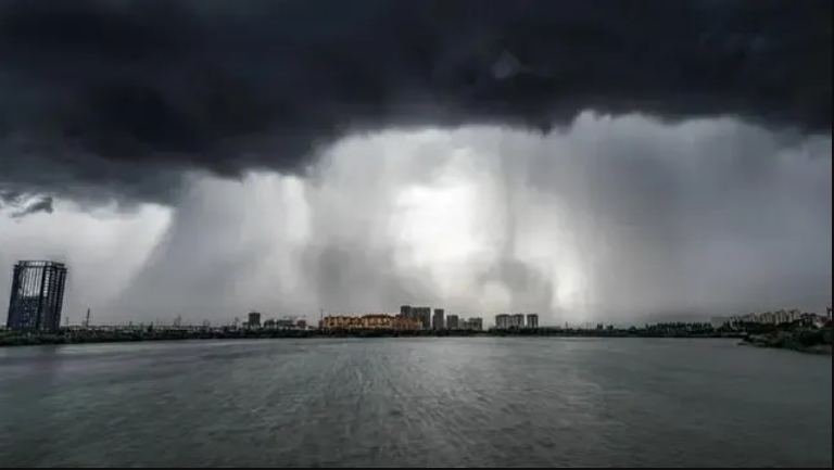 微信截图_20240403214016