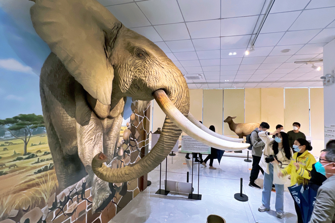 莫伟浓-美!串联山水林田湖海,广州以更大力度壮大-NEP1_20240411_C00411809533