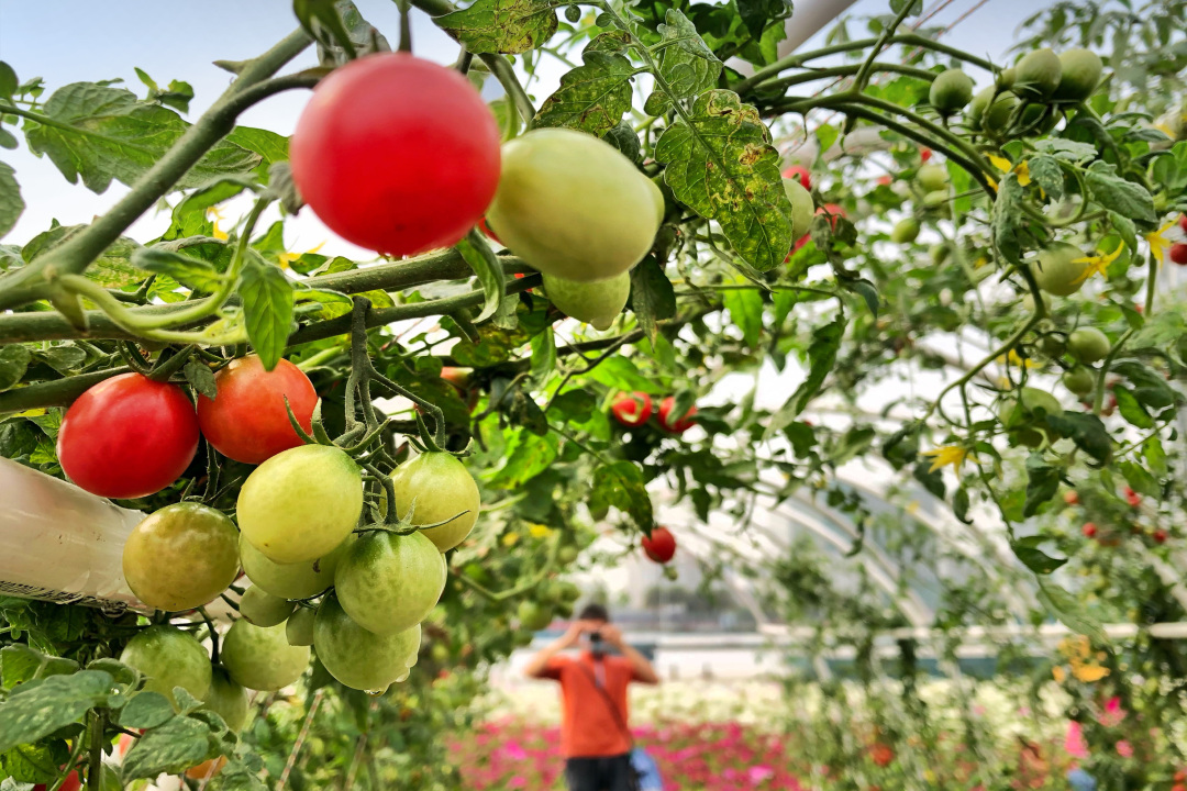 莫伟浓-美!串联山水林田湖海,广州以更大力度壮大-NEP1_20240411_C00411809534