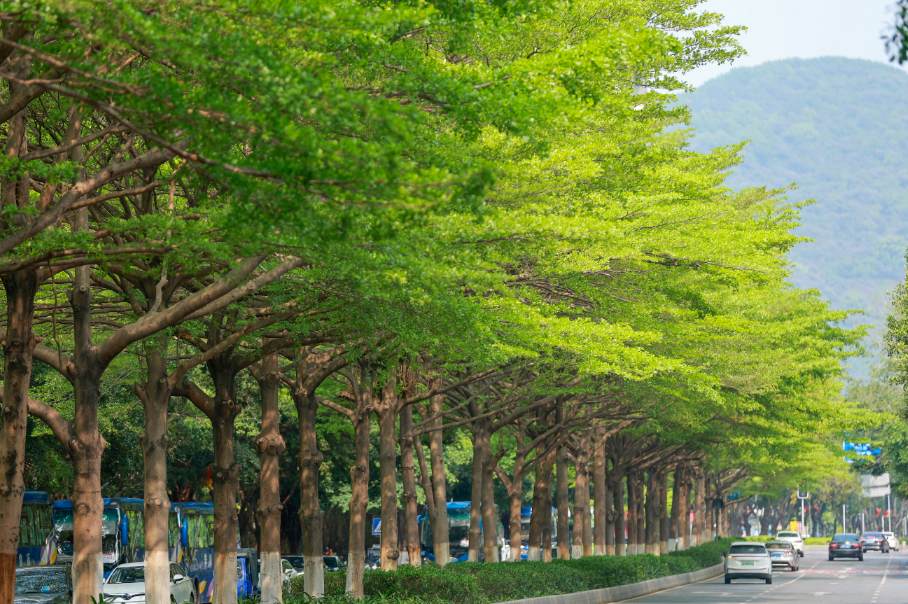 微信图片_20240412164015