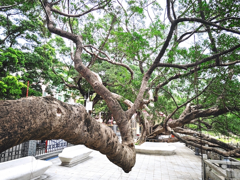 微信图片_20240412194951