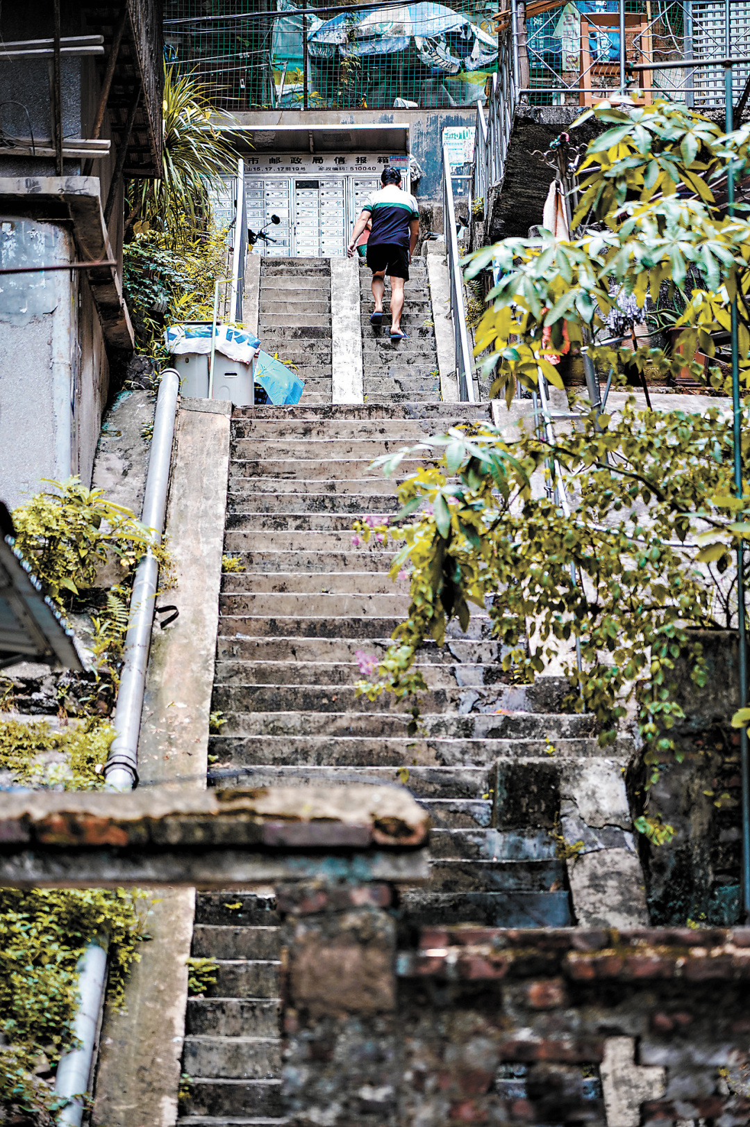 吴子良-WZL01529-FZ102811819785(1)