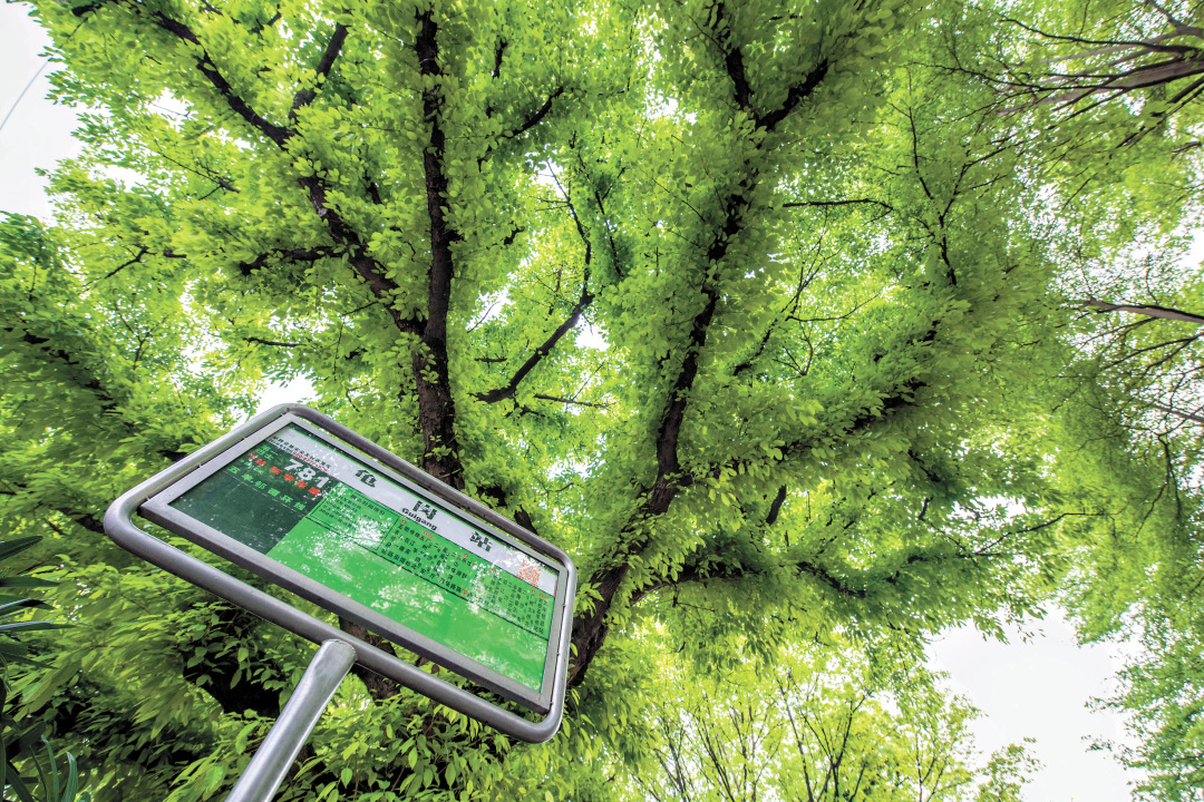 苏韵桦-SYH20220330A-14-FZ102811819824(1)