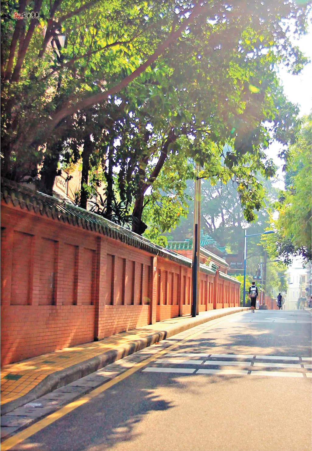 王燕-C315F972-4740-4935-8-FZ102811838970(1)