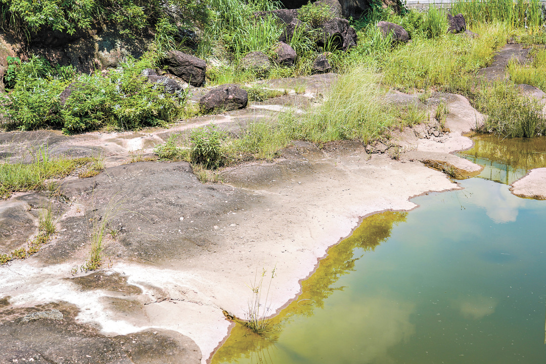 吴子良-WZL02744-FZ102811819774(1)