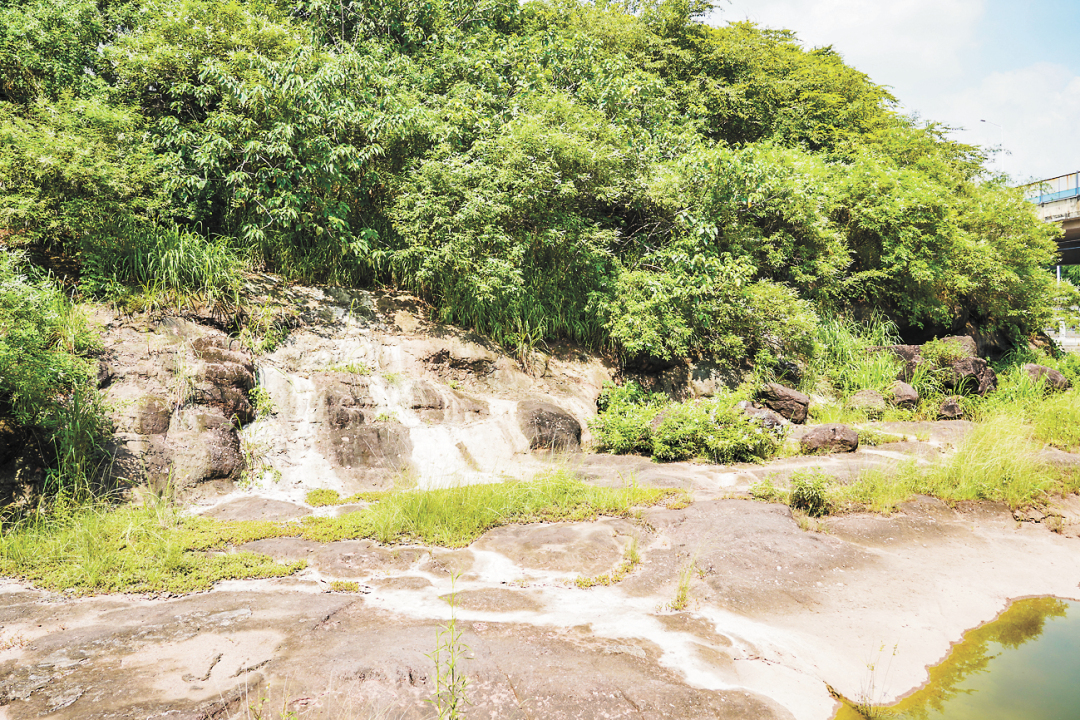 吴子良-WZL02745-FZ102811834347(1)