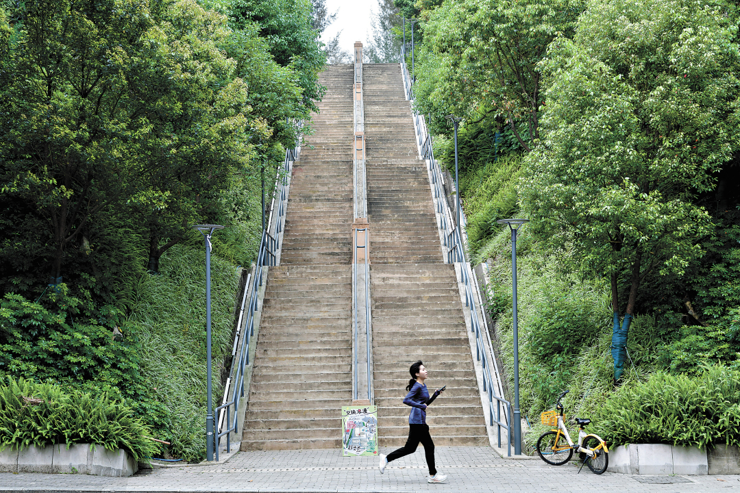 杨耀烨-【粤韵山岗】华工百步梯、华农紫荆桥配图-FZ102811827448(1)