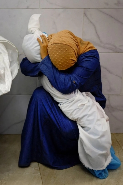 微信截图_20240420082544