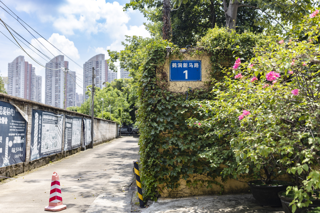 陈忧子-1B3A3362-NEP1_20240421_C00411863058