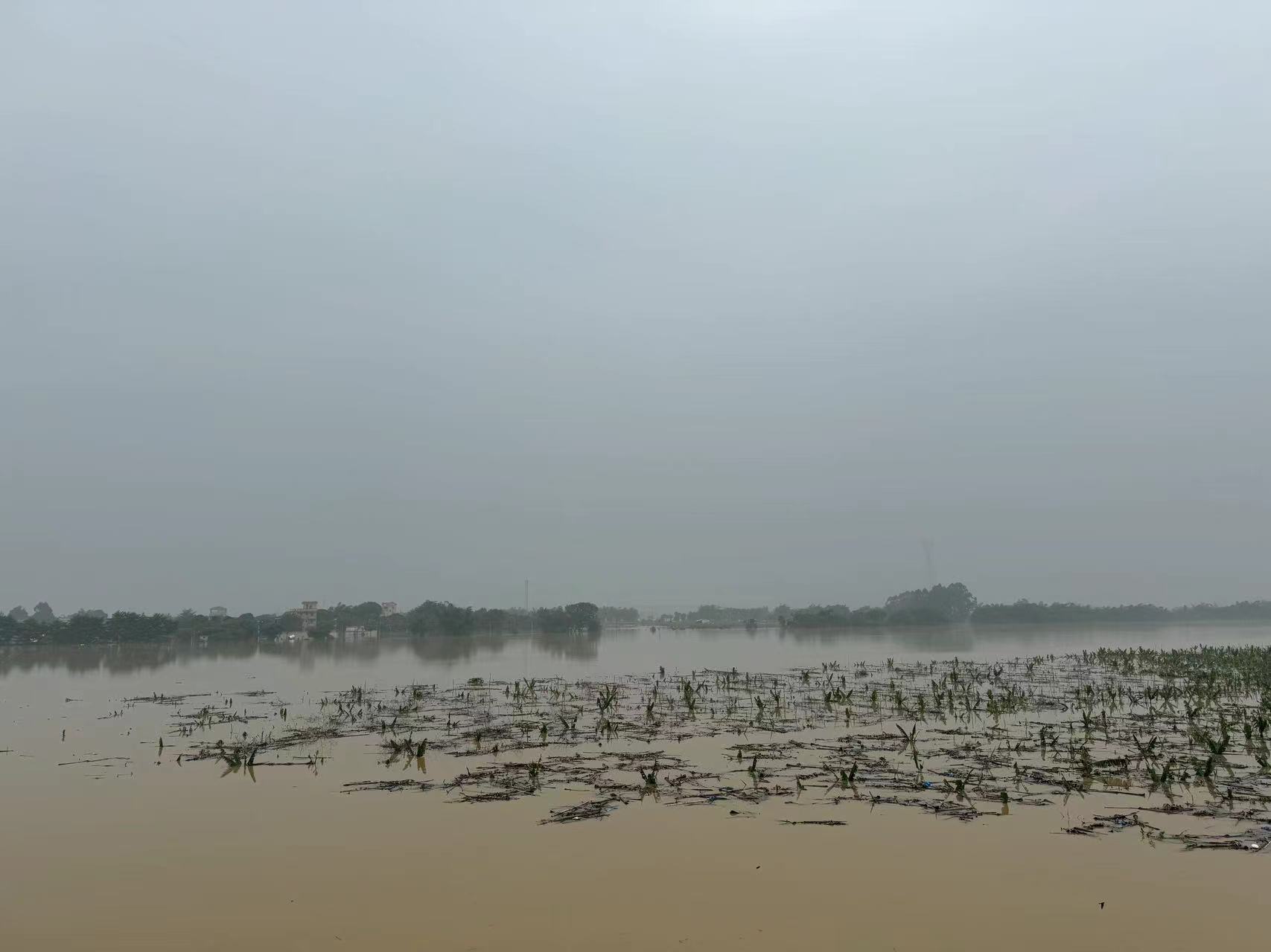 55f9b21f28ba7bdb2577f7d5c804276.jpg 55f9b21f28ba7bdb2577f7d5c804276.jpg