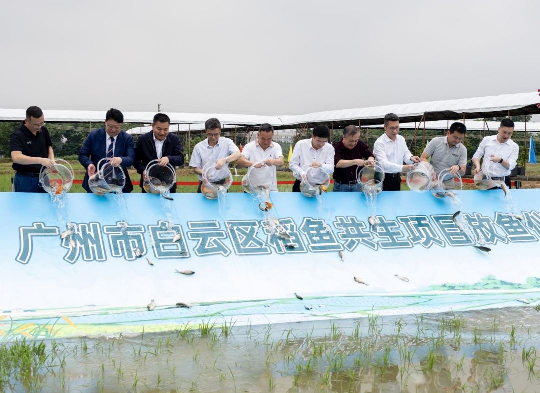 IMG_4070(20240423-173712)