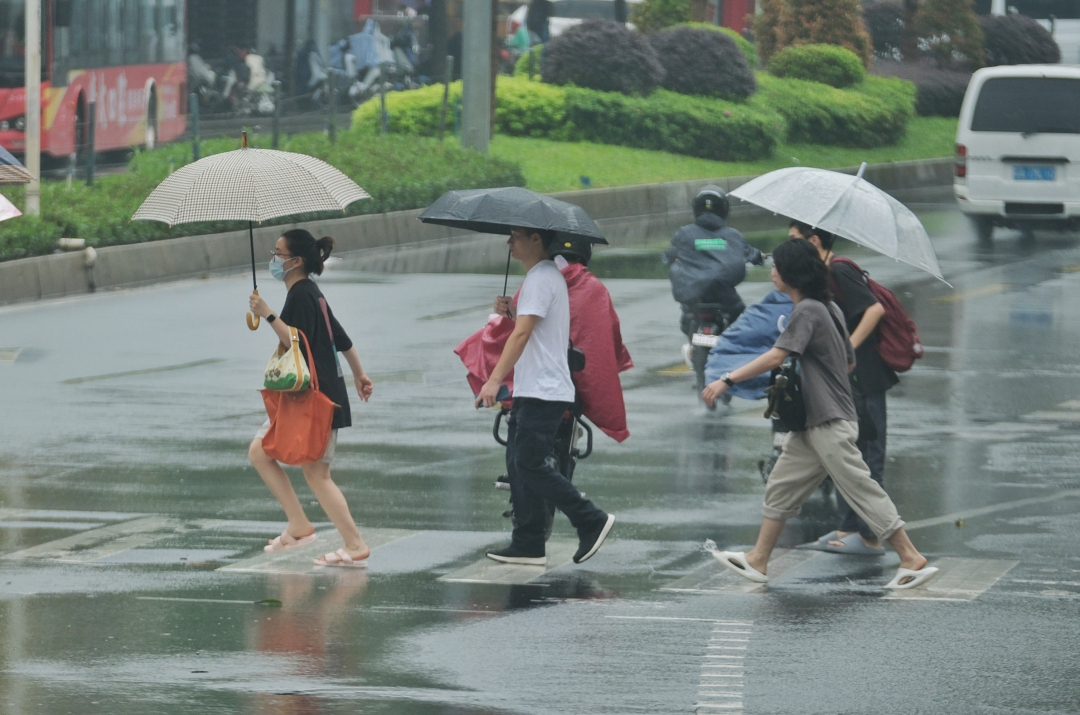 庄小龙-雷雨天-NEP1_20240423_C00411875132