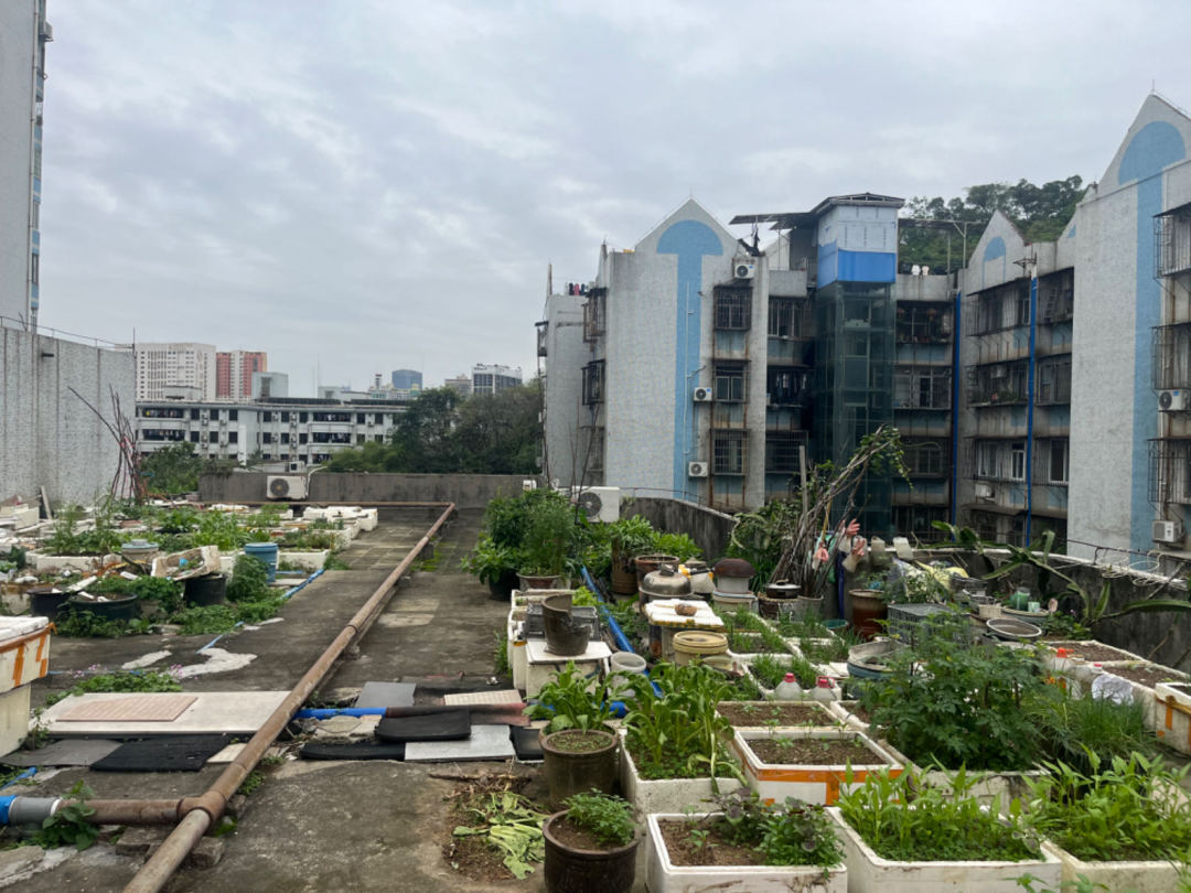 _2024_4_caily20244232251457971209