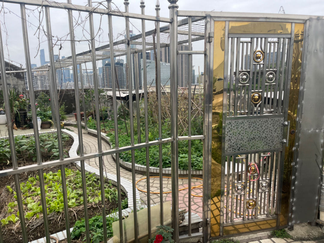 _2024_4_caily20244232251457971210