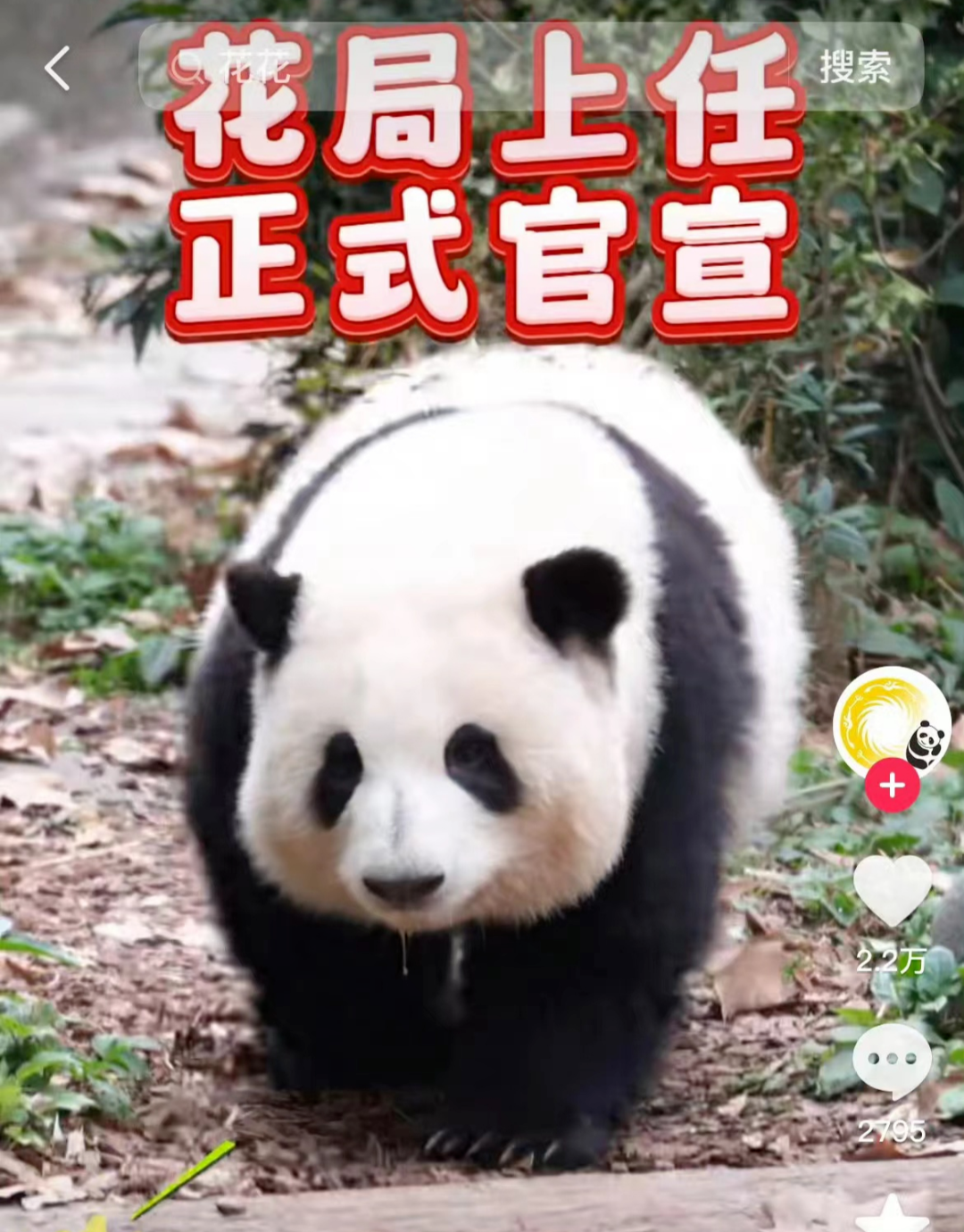 1714051920277049933.png 1714051920277049933.png