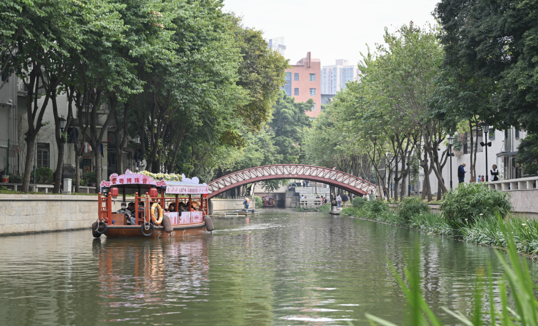 截屏2024-04-30 20.45.12