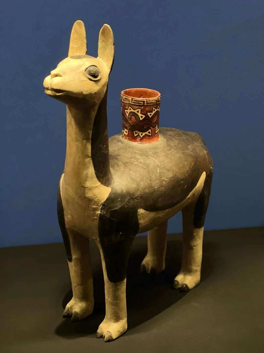 997c69fcffa63bcdbff84e7b5b4237