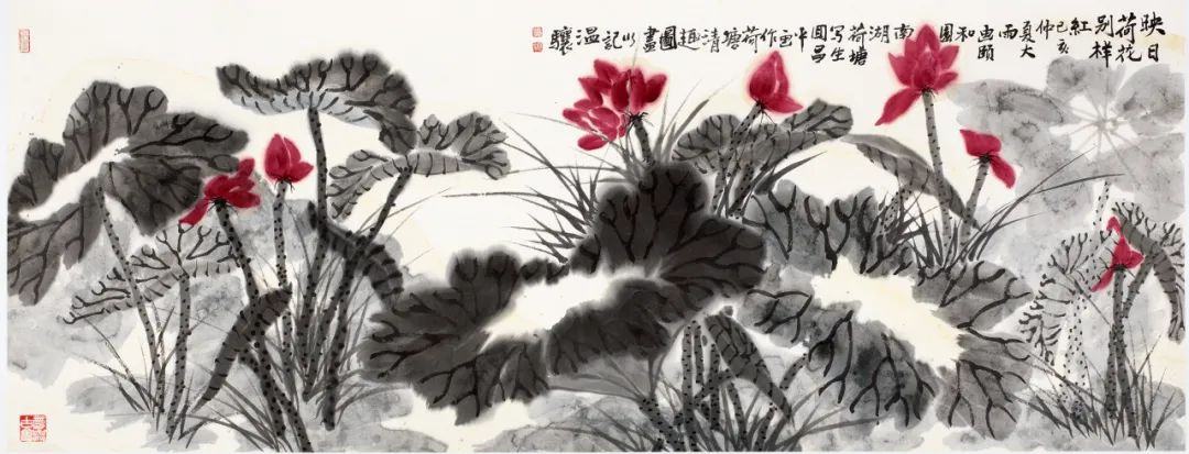 11 映日荷花别样红