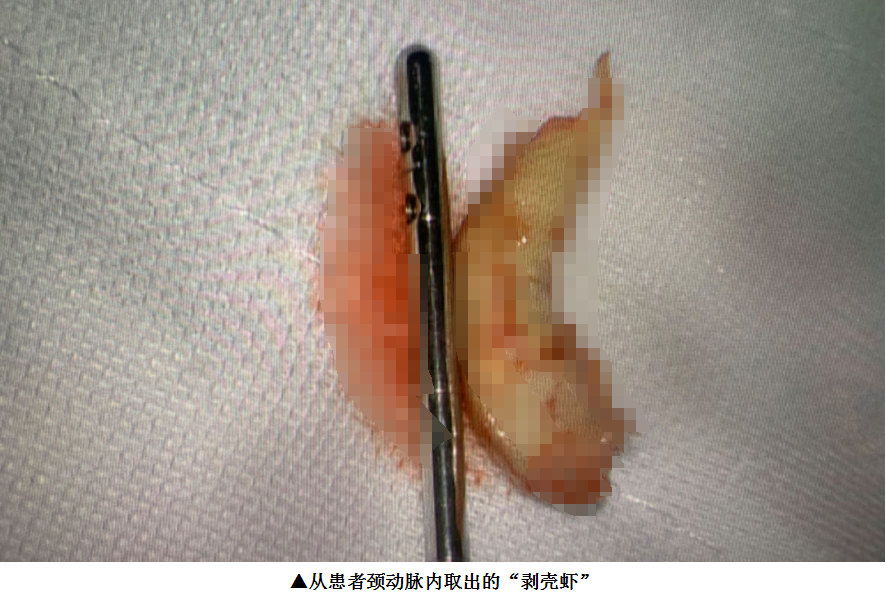 微信图片_20240510175117