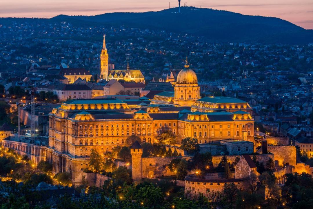 54665914_6baa5550-1151-4475-b94d-0ac0167d60a4