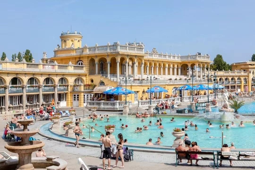 54665914_e0c5f962-c2cc-49b9-9380-4bd96cf0a2a1