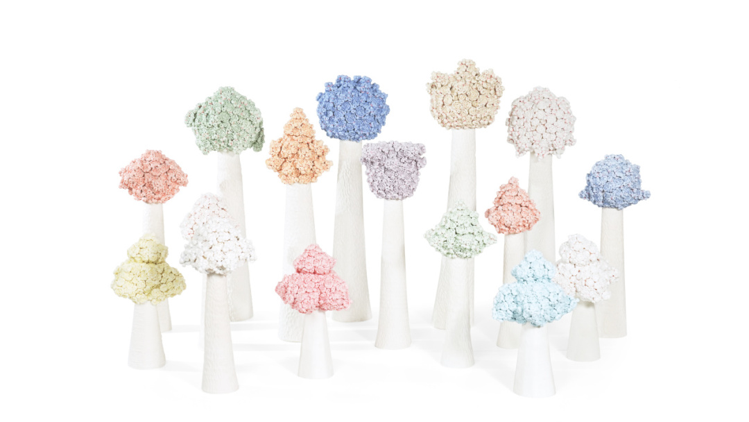 LOT821 苏献忠 等花开