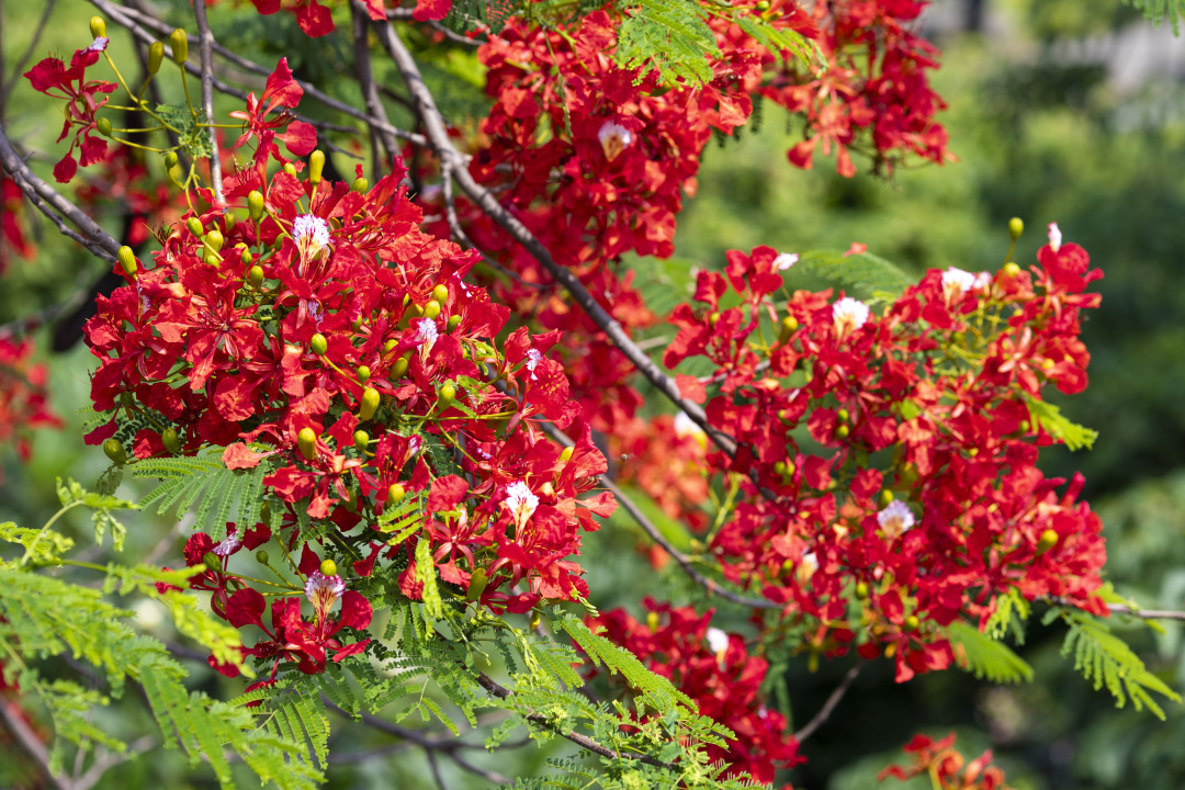 苏俊杰-JASO800620240516-NEP1_20240516_C00411987575