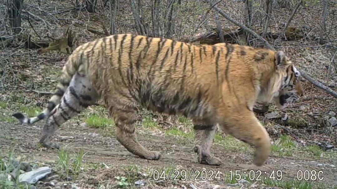 1716019960308736.jpg?x-oss-process=style/w10 微信图片_20240518161129.jpg?x-oss-process=style/w10