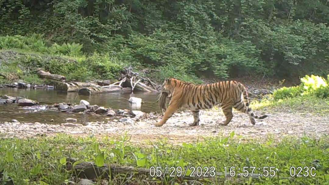 1716020030298981.jpg?x-oss-process=style/w10 微信图片_20240518161341.jpg?x-oss-process=style/w10