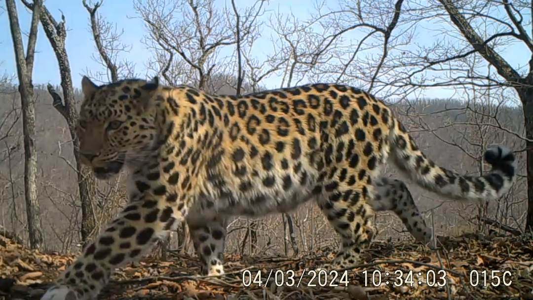 1716019986366364.jpg?x-oss-process=style/w10 微信图片_20240518161147.jpg?x-oss-process=style/w10