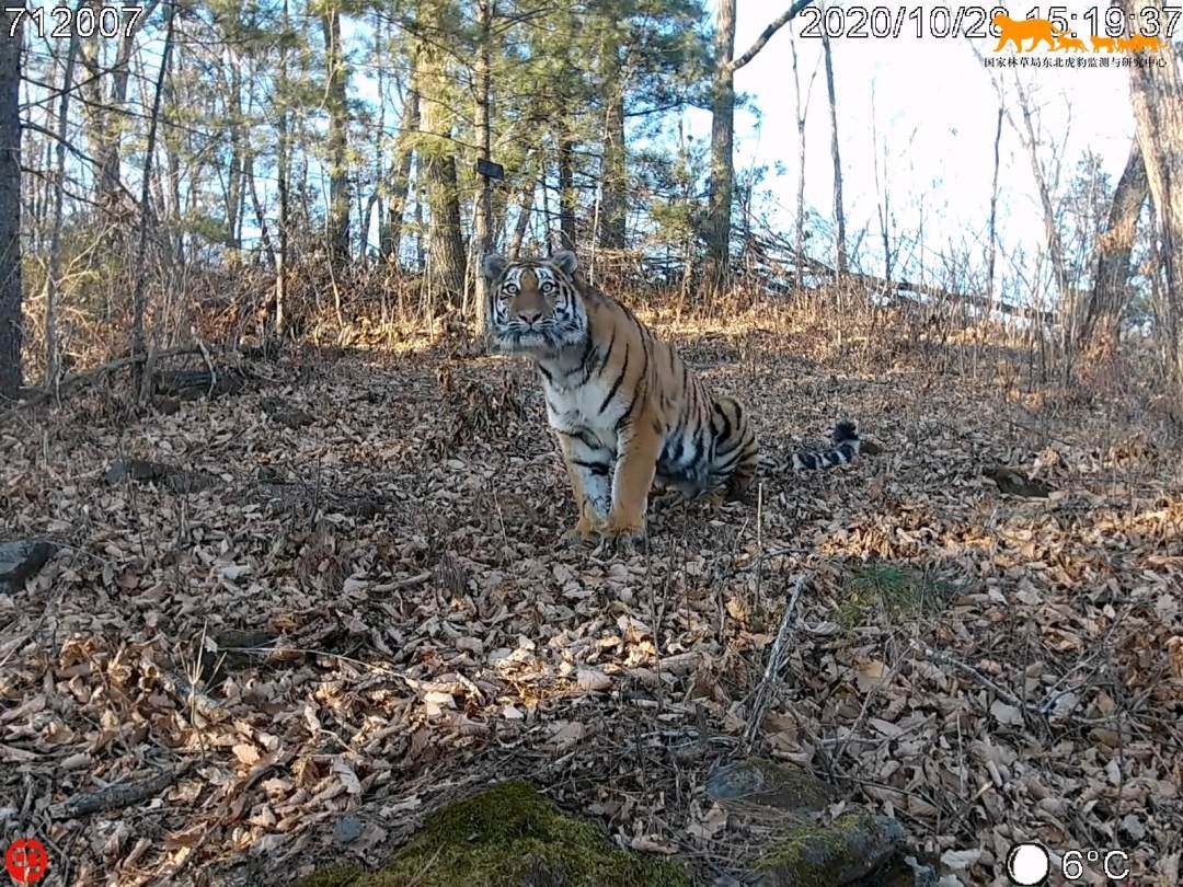 1716020004490628.jpg?x-oss-process=style/w10 微信图片_20240518161141.jpg?x-oss-process=style/w10