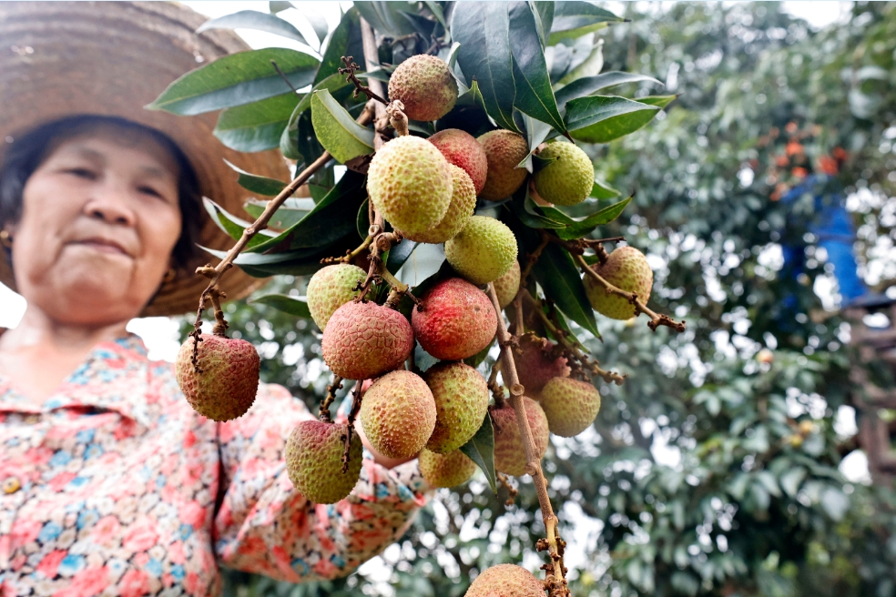 f8b96877feb04ae041f6e290971355b