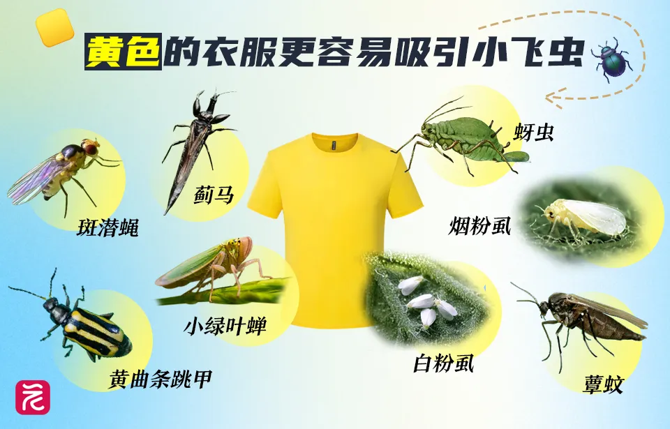 微信图片_20240519192259