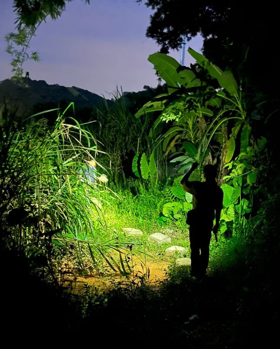 嘉辞正在前往寻找萤火虫的山路上 图片