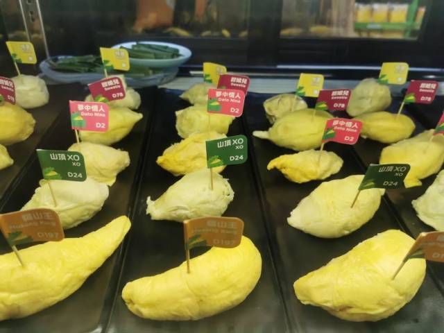 不同品种的榴莲果肉，你最爱吃哪种？