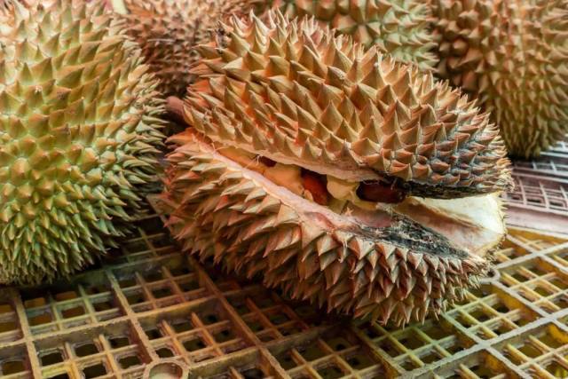 裂口榴莲很可能已经坏了，千万小心。